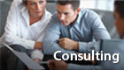 Consulting Consultants Consultation